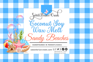 Sandy Beaches Wax Melts