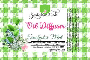 Eucalyptus Mint Hanging Car Diffuser & Refills