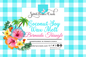 Bermuda Triangle Wax Melts