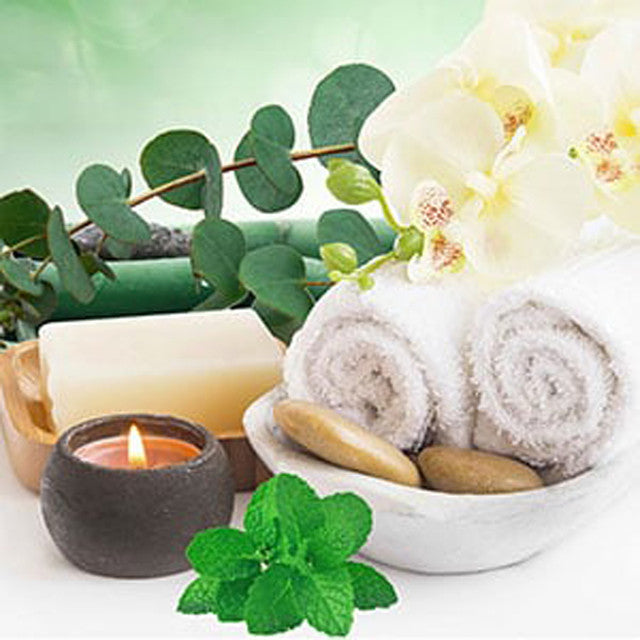 Eucalyptus Mint Bubbly Scrub Body Bars