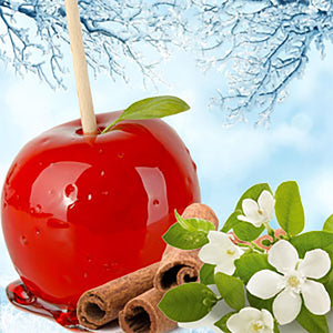 Season's Greetings Bubbly Scrub Body Bars