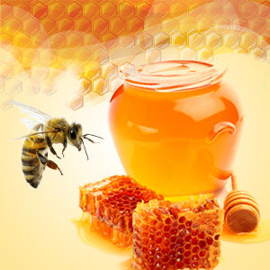 Baby Bee Sugar Scrub Cubes